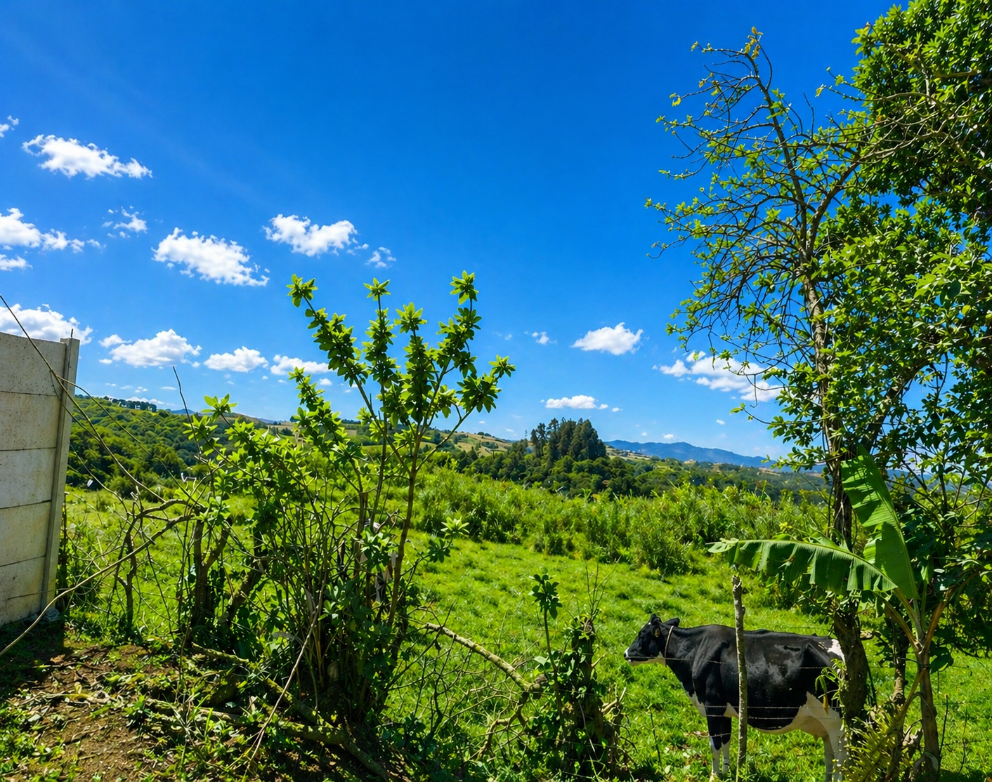 Country Estate with Equipped Ranch in Volio – San Ramón, Alajuela